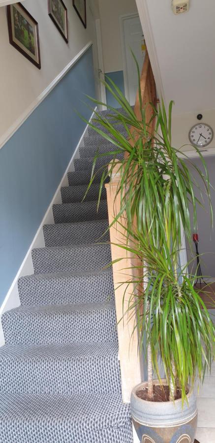 Farnham House Bed and Breakfast Cavan Exteriör bild